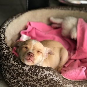 Meet your Posher, Gabriela